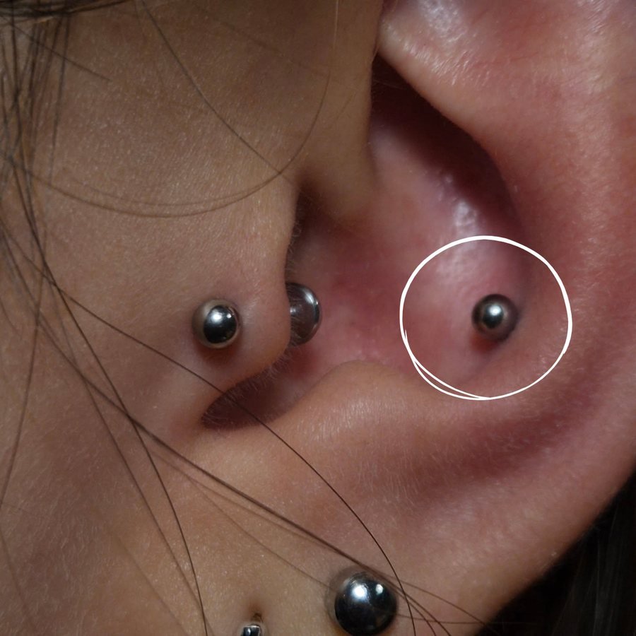 Conch piercing with a ball stud